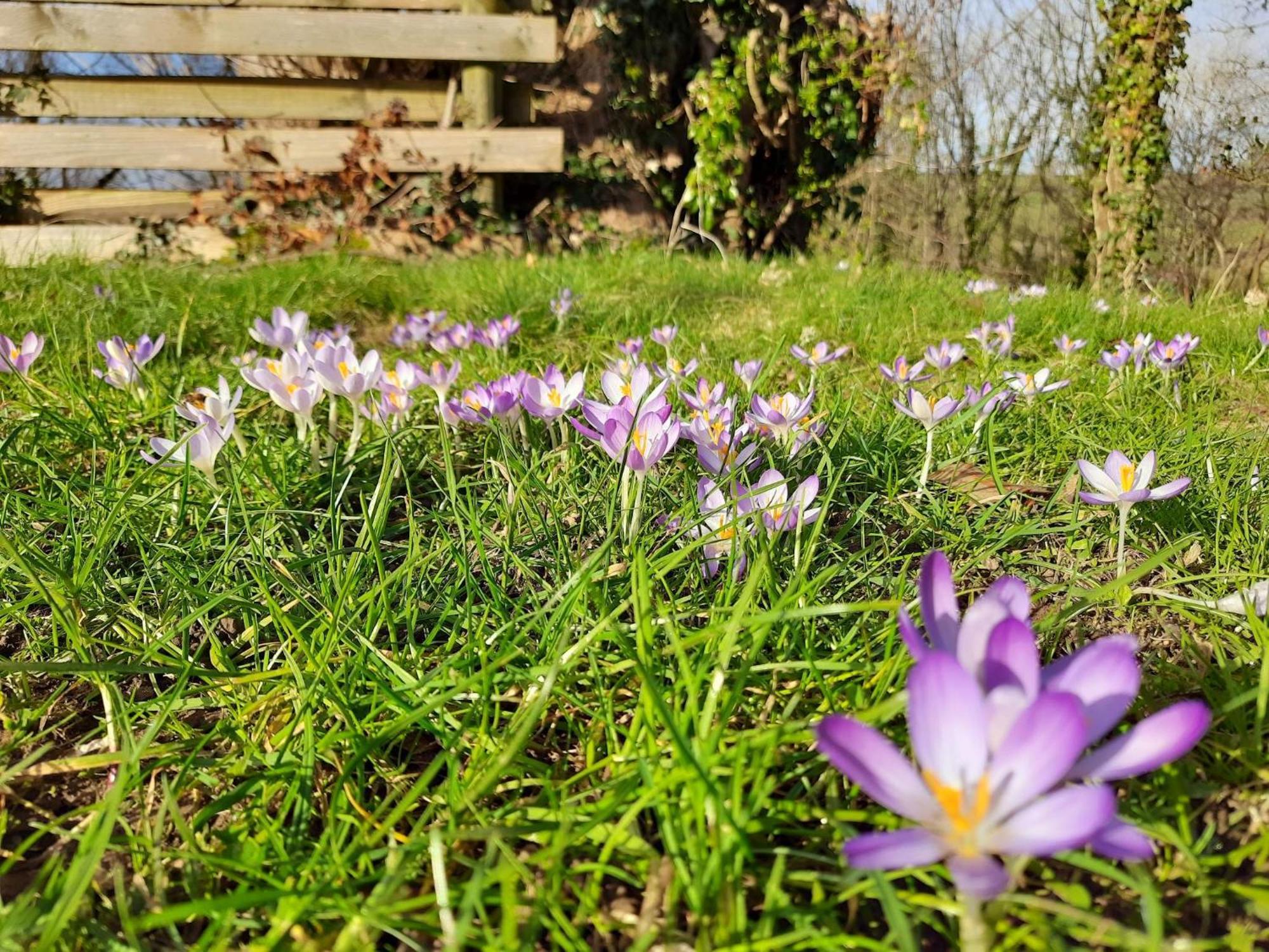 Ceridwen Glamping, Double Decker Bus And Yurts Hotel Llandysul Bagian luar foto